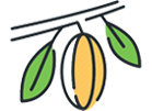 Agrofloresta