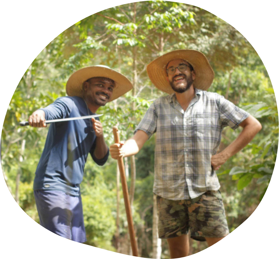 Voluntariado
